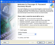 Internet Explorer Password Recovery screenshot